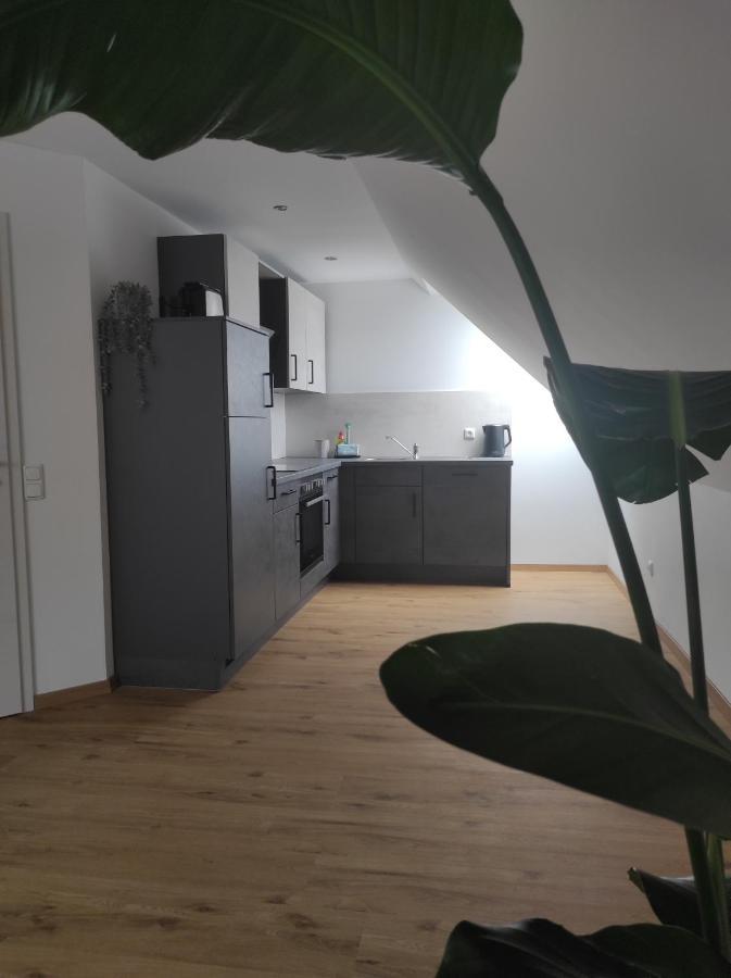 Ferienwohnung Im Distelweg Scheid  Bagian luar foto